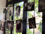 Photographer Party
