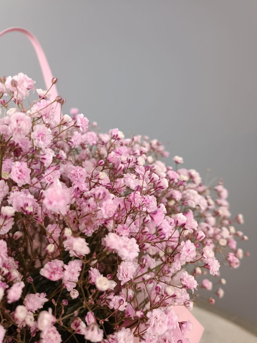 Сумочка из цветной гипсофилы