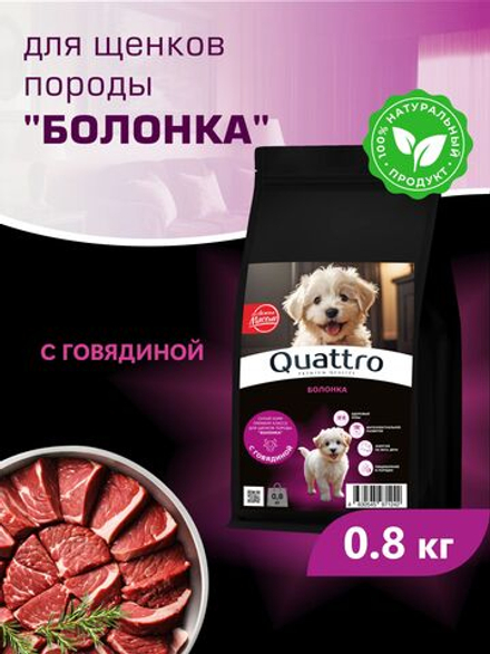 Корм сухой для щенков породы Болонка, с говядиной, 800 гр, QUATTRO