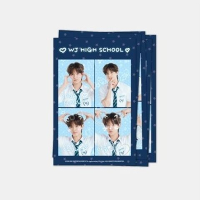 (ПРЕДЗАКАЗ) товары SMTR25 - REPLY HIGH SCHOOL OFFICIAL MD DECO STICKER