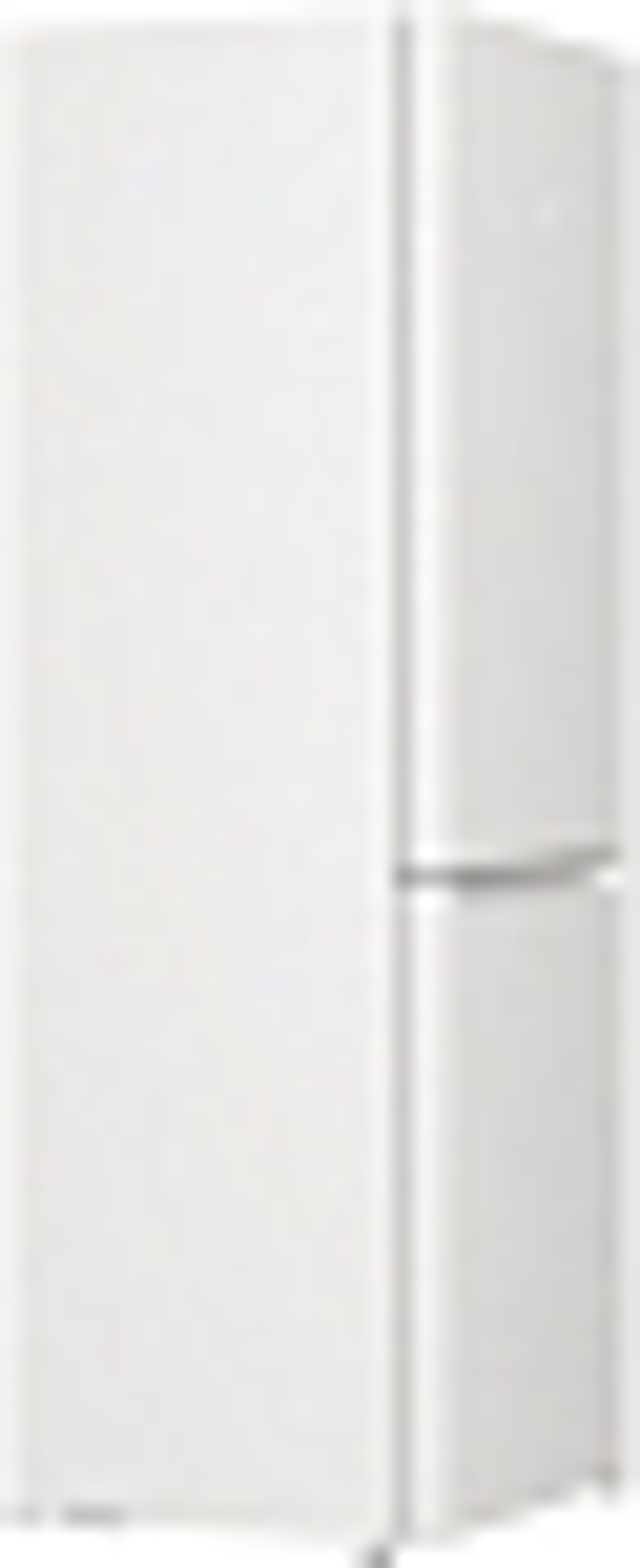 Отдельностоящий двухкамерный холодильник Gorenje RK6191SYW