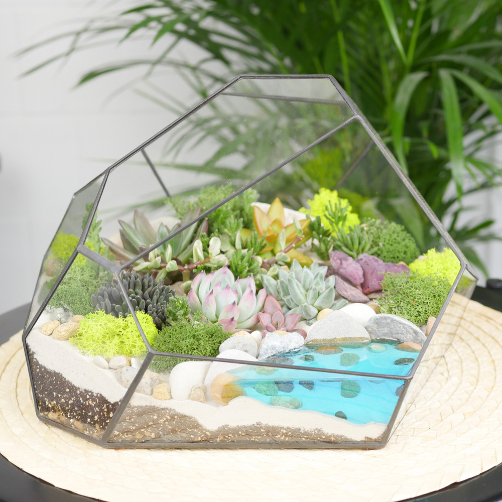 Готовый флорариум с суккулентами Валун с озером