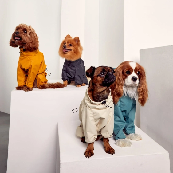 Жилеты и попоны для собак