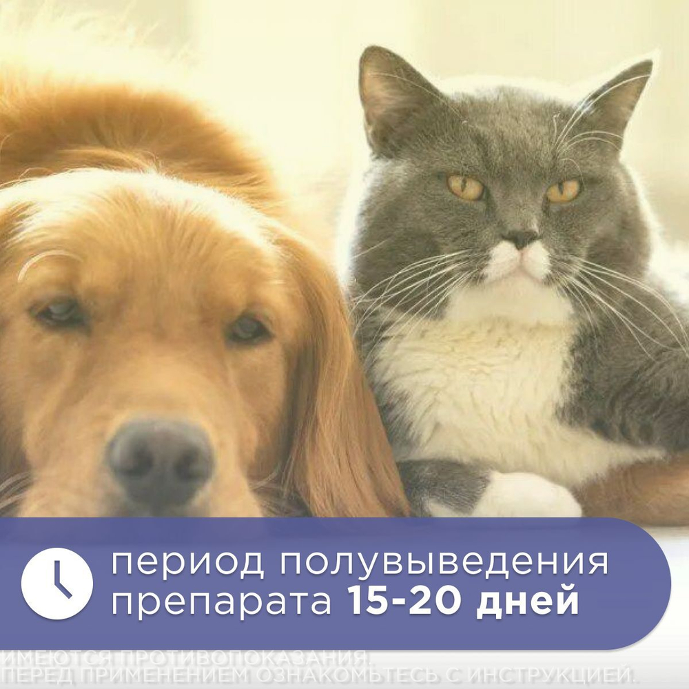 Нефроантитокс порошок банка, 50 гр