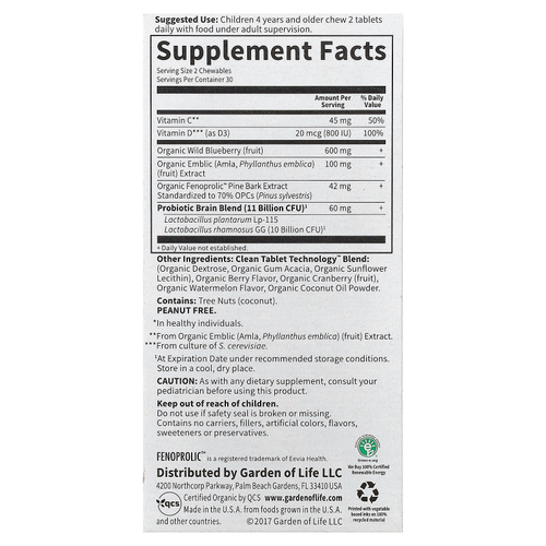 Garden of Life, Dr. Formulated Brain Health, внимание и концентрация для детей, вкус арбуза и ягод, 60 вкусных жевательных таблеток