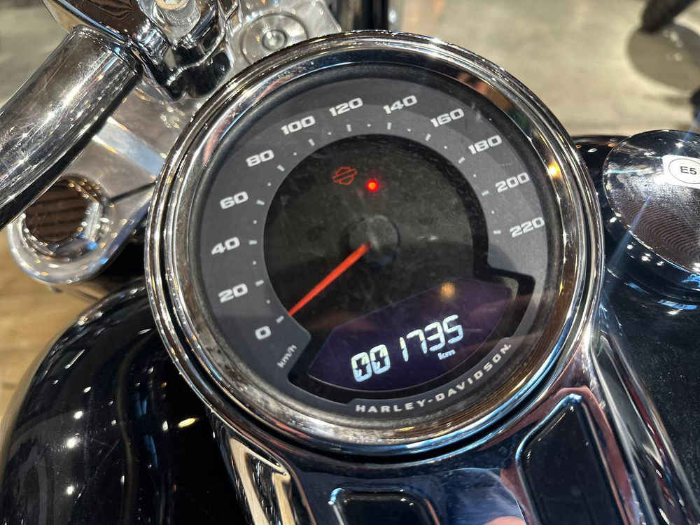 Harley-Davidson Fat Boy, 2022, 1 735 км