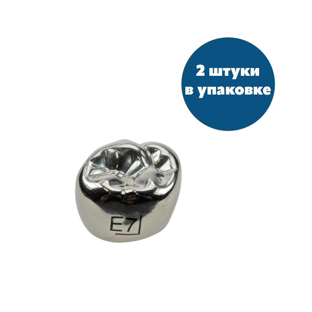 Второй верхний правый моляр, размер 7 (E-UR-7)