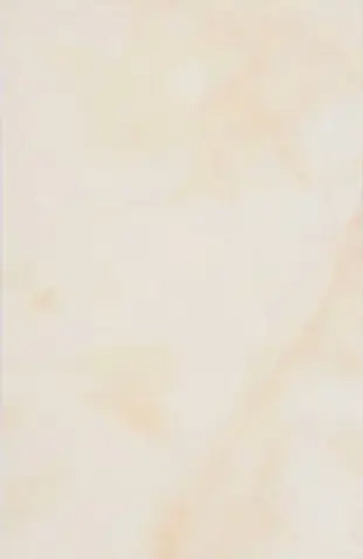 ШАХТИНСКАЯ ПЛИТКА Мона плитка настенная глянцевая 300х200х7мм (24шт) (1.44 кв.м) бежевый