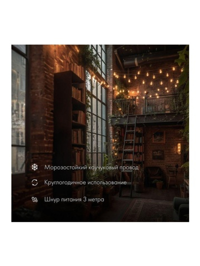 Гирлянда "Белт Лайт" 10м 20 патронов 4.8Вт IP65 провод каучук черн. Neon-Night 331-355