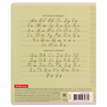 Тетрадь школьная А5 12л частая косая линия, зеленая "Классика Visio" (Erich Krause) микс цветов (комплект 3 шт)