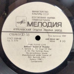 Pink Floyd / Delicate Sound Of Thunder (2LP)