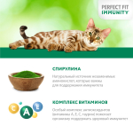 Индейка в желе, 75г усиленный иммунитет влажный корм Perfect fit