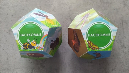 Додекаэдры "Насекомые"