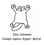 Дверь-купе ARISTO О, зеркало, профиль шампань матовая