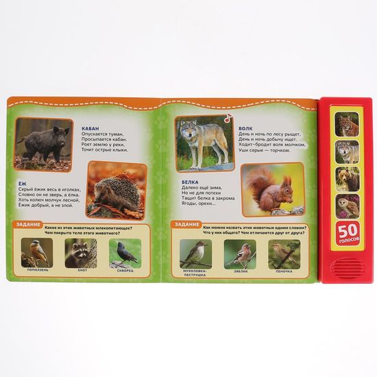 Говорящая энциклопедия. Лесные животные Степанов В.А. (5 кн. 50 звуков) 200х175мм 10стр Умка