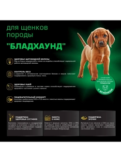 Корм для щенков породы Бладхаунд, с ягненком, 12 кг