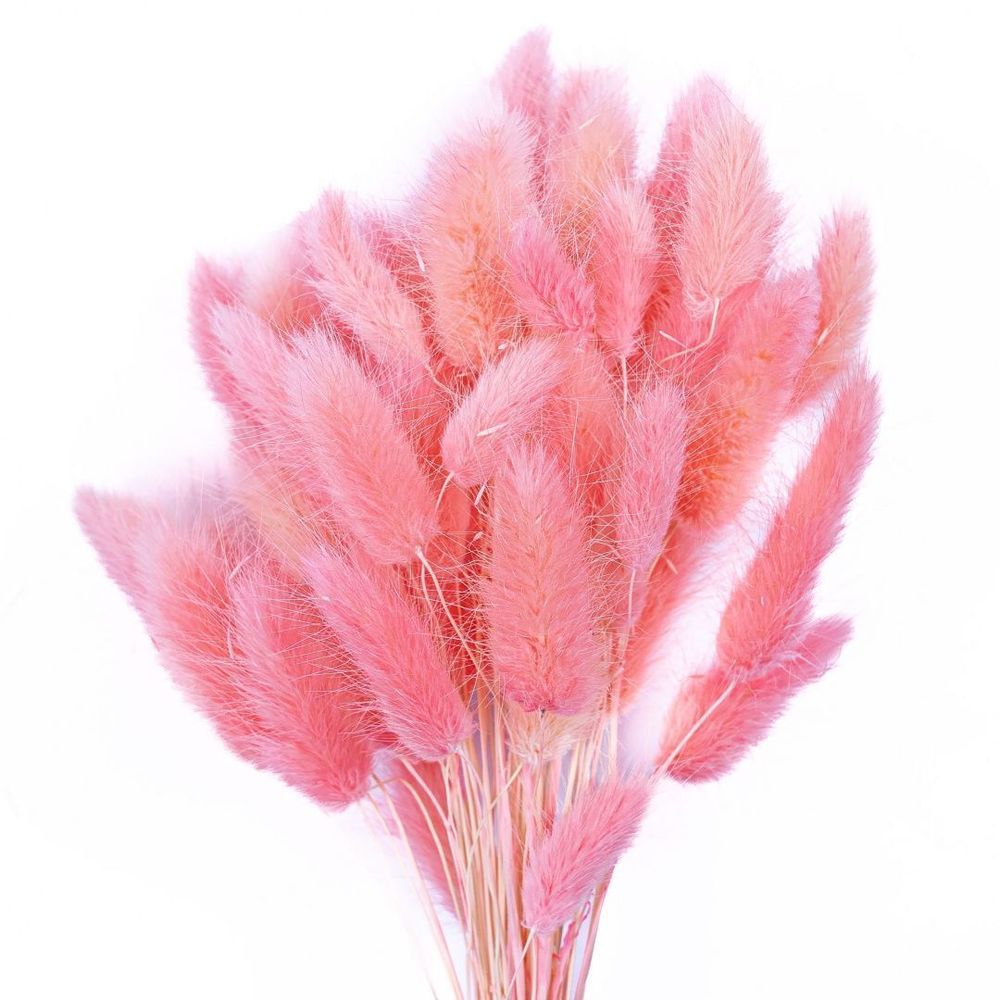 Сухоцветы ЛАГУРУС 65см 34гр НЕЖНАЯ САКУРА