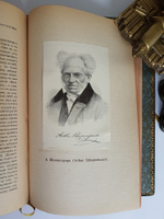 "История западной литературы (1800-1910)". . 1912г. - антикварное издание