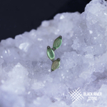 Leaflet v.2 Green Onyx