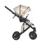 Коляска ANEX e/type 2 в 1 (et-SE04) joy