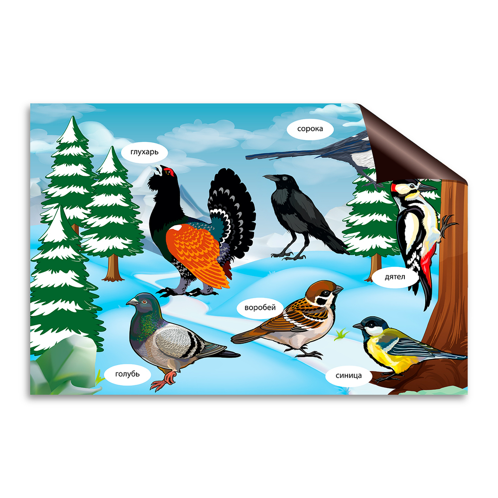 Тематический виниловый элемент Зимующие птицы. Серия Природа 166000753