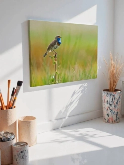 Картина на стену 40 X 50 Птица