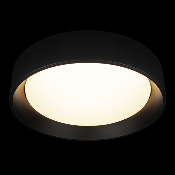 Потолочный светильник Loft it Coin 10202 BB