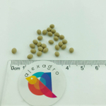 Афицион рз семена салата батавия (Rijk Zwaan / ALEXAGRO) семена