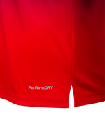 Футболка разминочная JOGEL NATIONAL PerFormDRY Pre-Match Tee, сине-красный