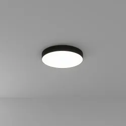 Потолочный светильник Arte Lamp