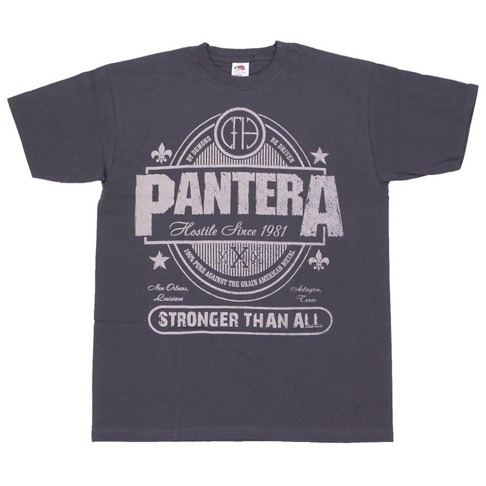 Футболка Pantera Stronger Than All графитовая (295)