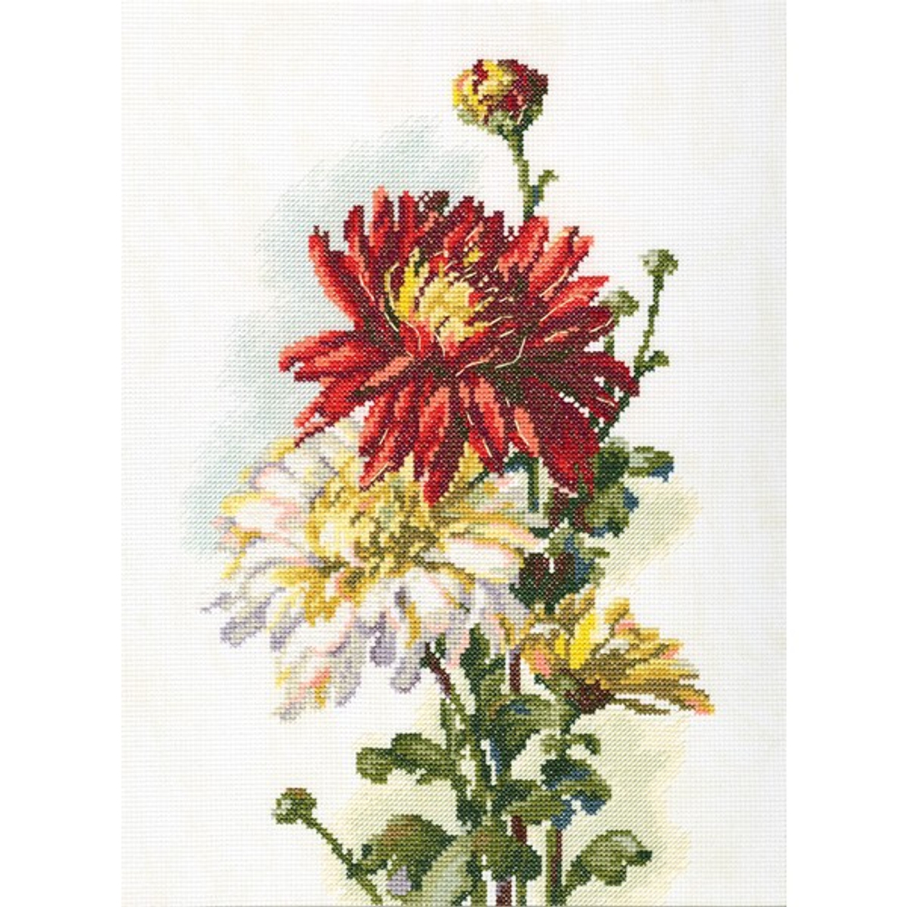 "Хризантемы"-M516  вышивка