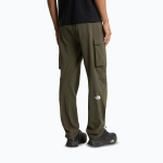 Брюки The North Face Exploration Cargo taupe green