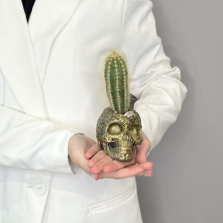 Кактус «Черепушка»