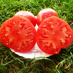 Помидоры Julia Child - Дитя Джулии