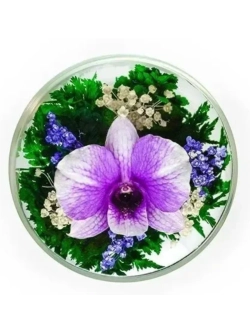 натуральные цветы в стекле, вакуум 05.21