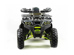 Квадроцикл MOTOLAND 200 Wild Track Pro