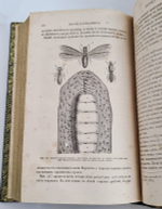 "Жизнь насекомых". Луи Фигье. 1869г. - антикварное издание