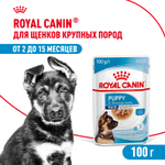 Royal Canin Maxi Puppy Влажный корм для щенков крупных пород в возрасте до 15 месяцев 100г