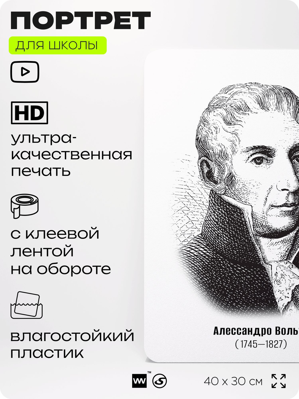 Портрет для школы в кабинет физики "Александро Вольта", стенд школьный для класса, деятели науки для оформления классного уголка, 40х30 см, Silver Plane x Айдентика Технолоджи