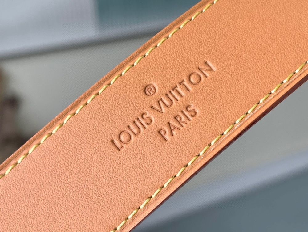 Louis Vuitton CarryAll PM