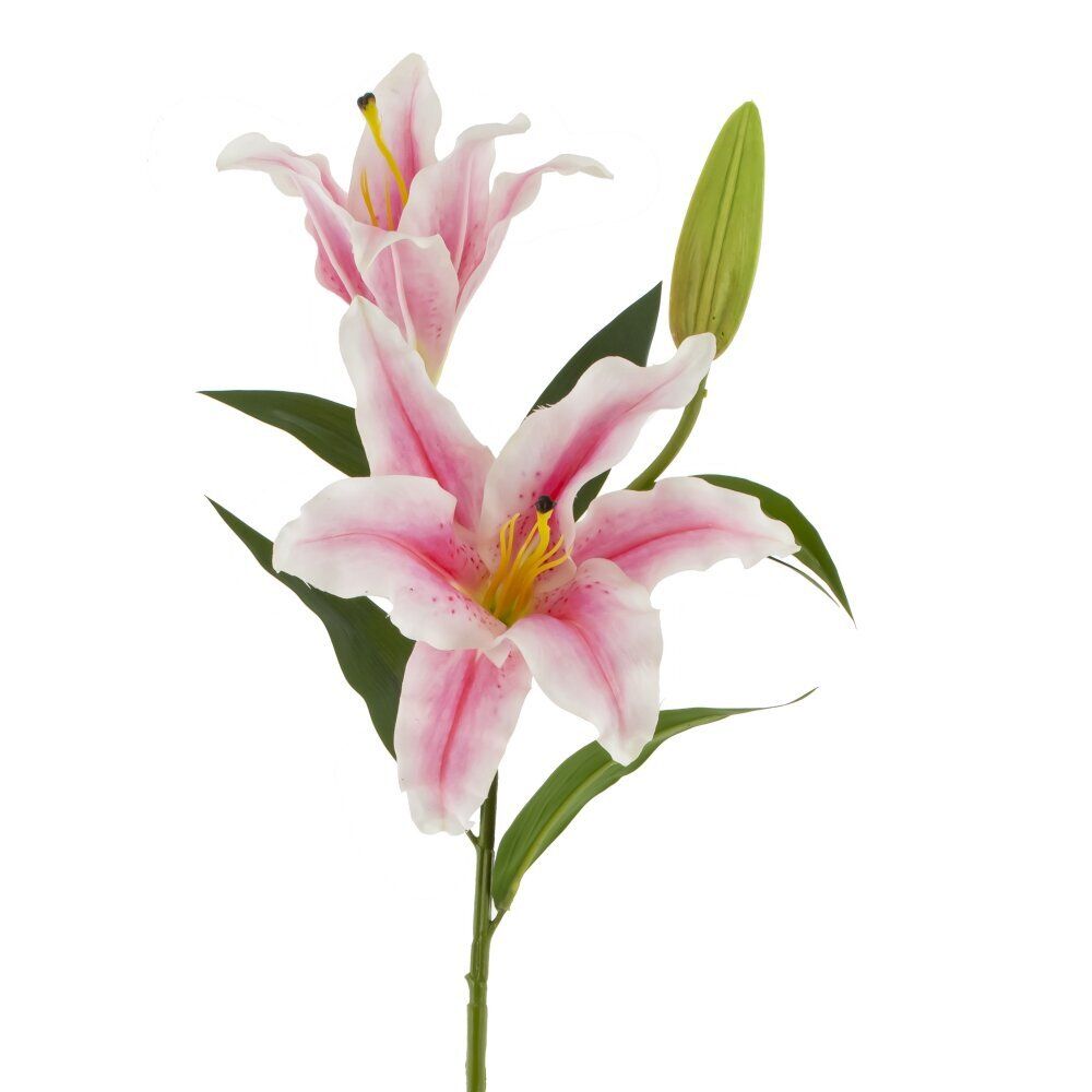 GAEM Цветок искусственный "Лилия" (Real Touch), L24 W22 H84 см