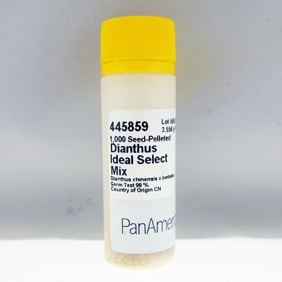 ГВОЗДИКА КИТАЙСКАЯ X БОРОДАТАЯ IDEAL SELECT MIX | Alexagro – фото 4