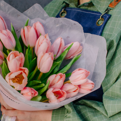 136. Крупные сортовые тюльпаны розовые персиковые