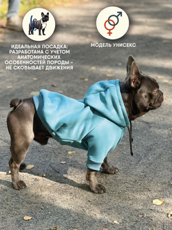 Толстовка для собак пород французского бульдога, мопса, голубой,M