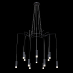 Подвесная люстра Maytoni Davida MOD035PL-12B