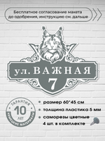 Адресная табличка на дом с котом мейн-куном, 60х45 см.