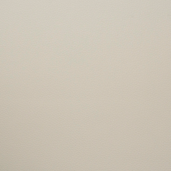 Искусственная кожа Grifon (Грифон) 02