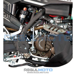 Мотоцикл Regulmoto LEGEND 300
