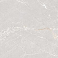 Neodom Stone Persian Grey Matt 120x120